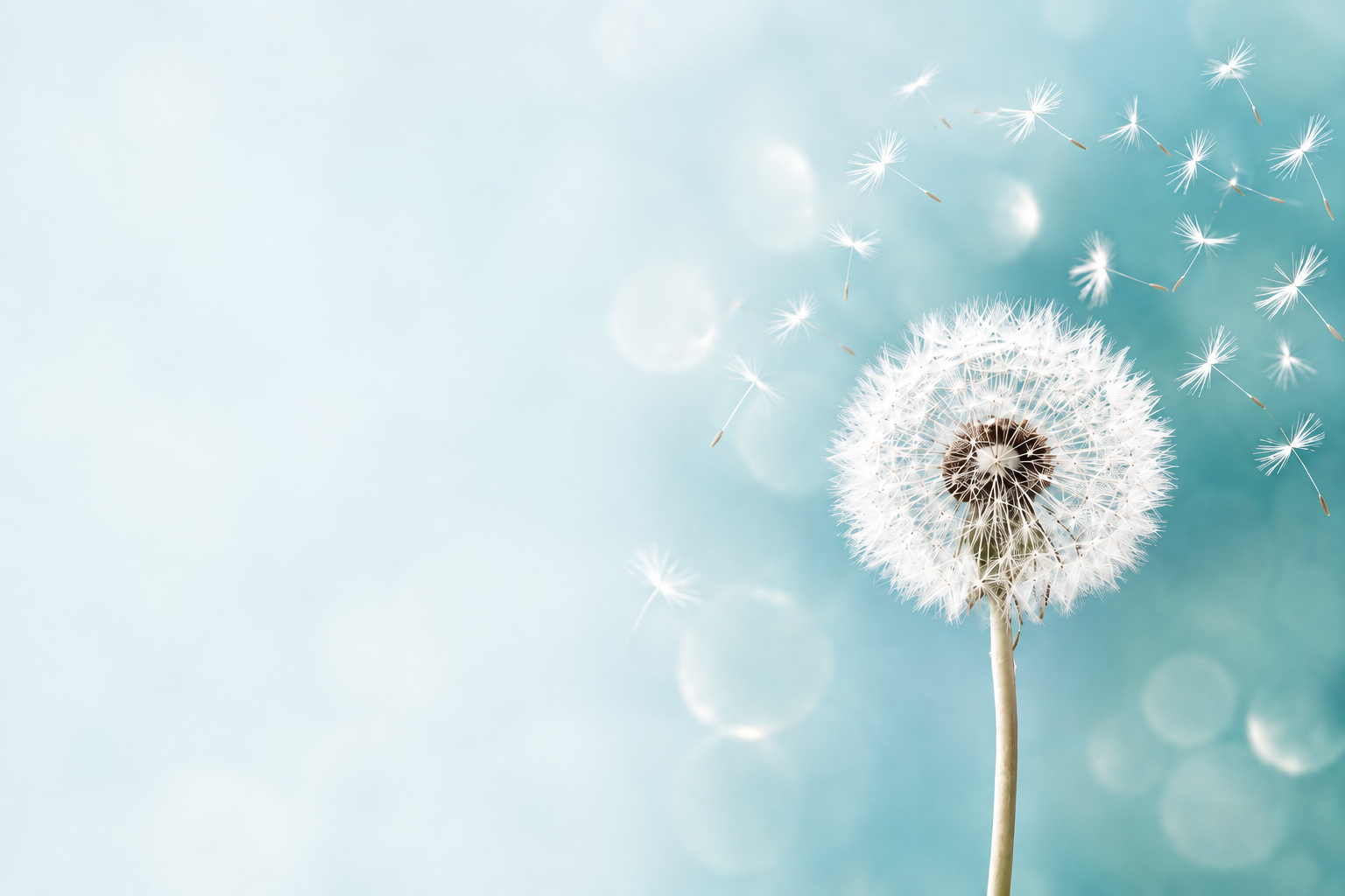 8658a75a-896e-4bef-ae69-fb31f6b9d662.png