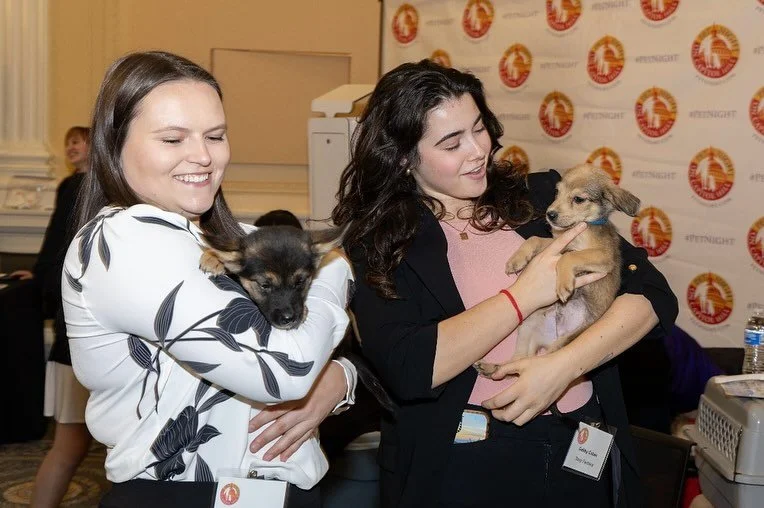One of our favorite nights of the year: Pet Night with
HABRI 🐾❤️ We love celebrating the bond between
people and their pets- we can&rsquo;t wait to do it all again this year!

@jasonweilphotography 

#petnightoncapitolhill #capitolhilldc #washington