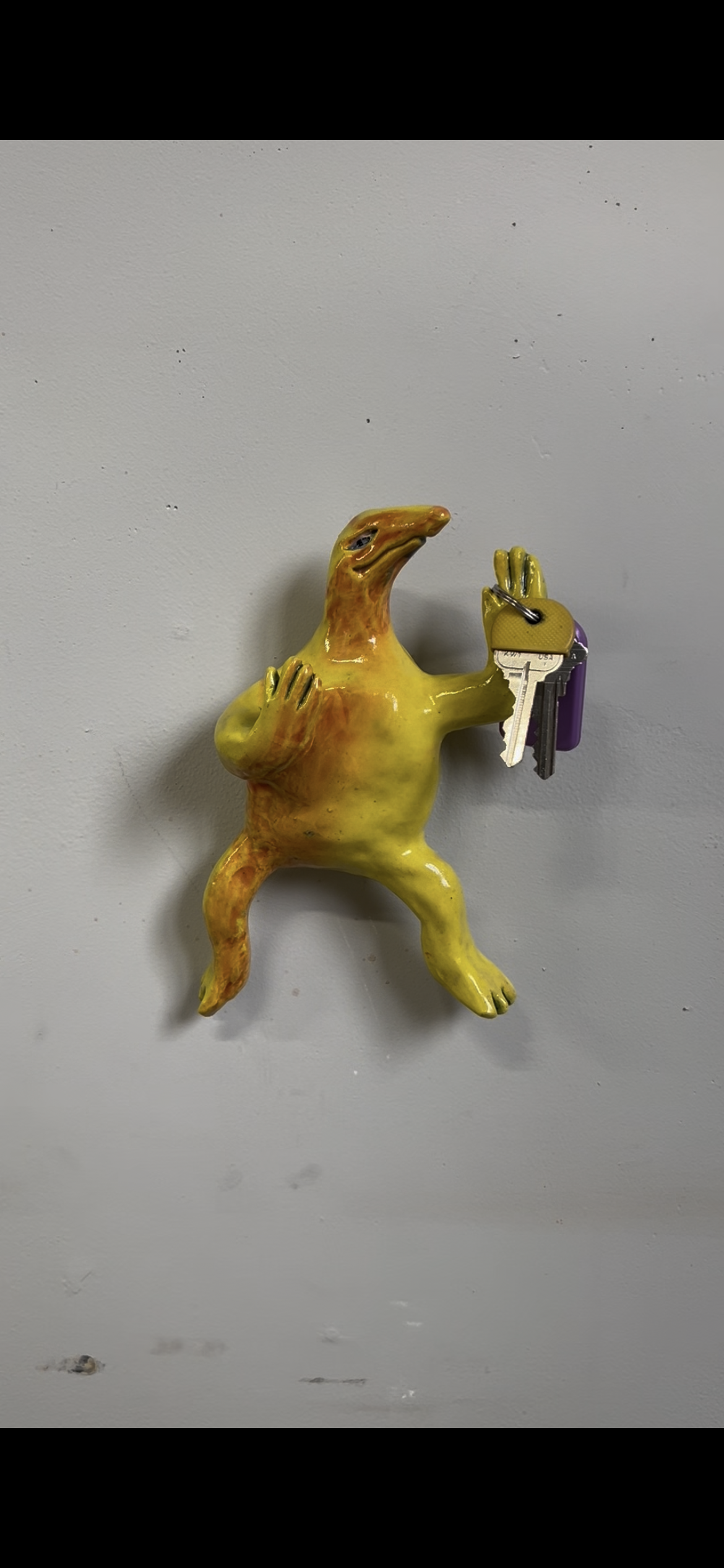 IMG_2720.png