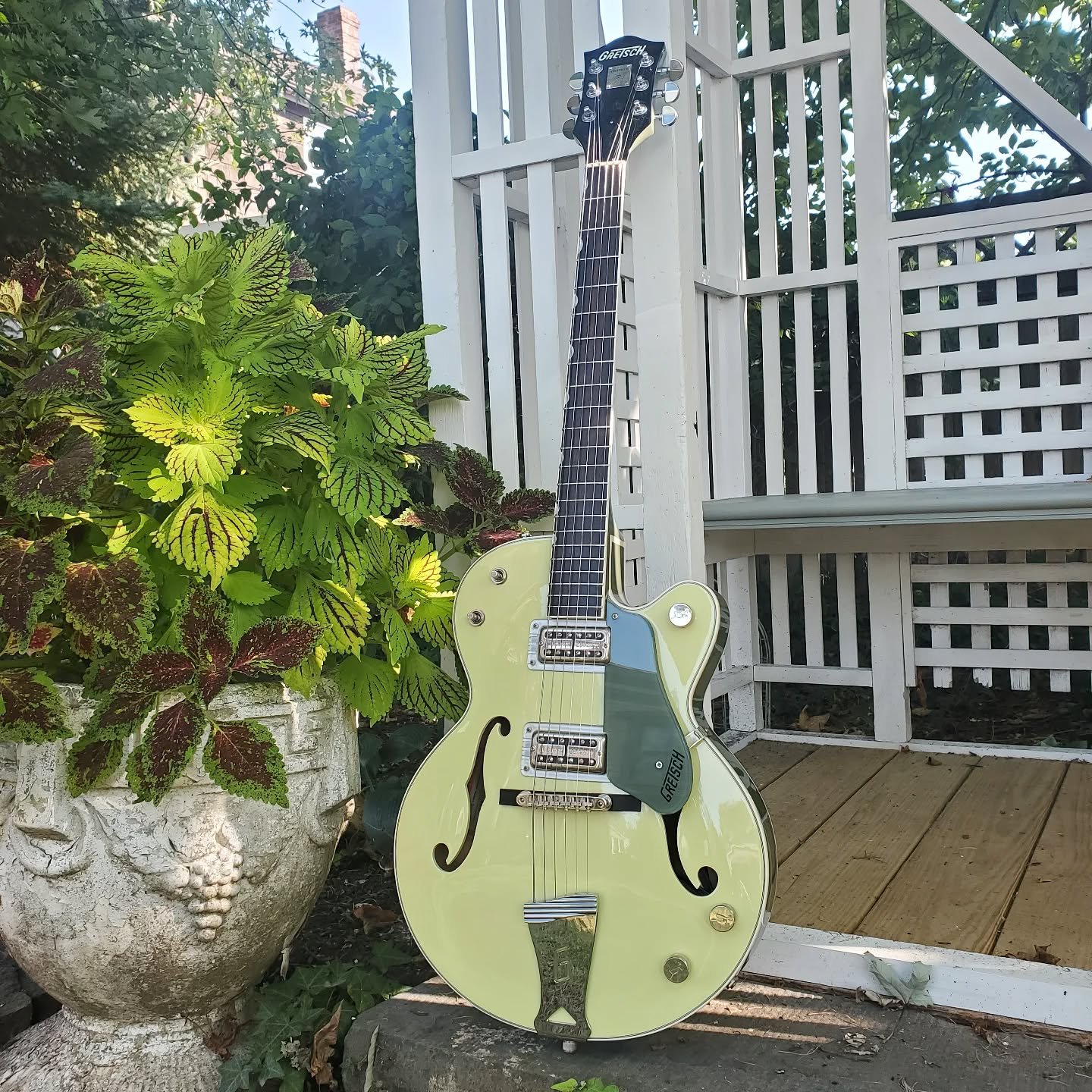 A little greenery to officially say goodbye to summer. Gretsch Anniversary got a recrown and a setup.

#guitar #guitars #guitarra #guitarras #gita #guitarporn #guitarsofinstagram #luthier #lutherie #guitarshop #guitarrepair #music #instruments #repai