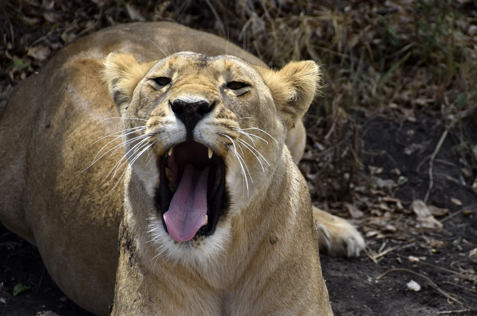 tanzania-img10.jpg