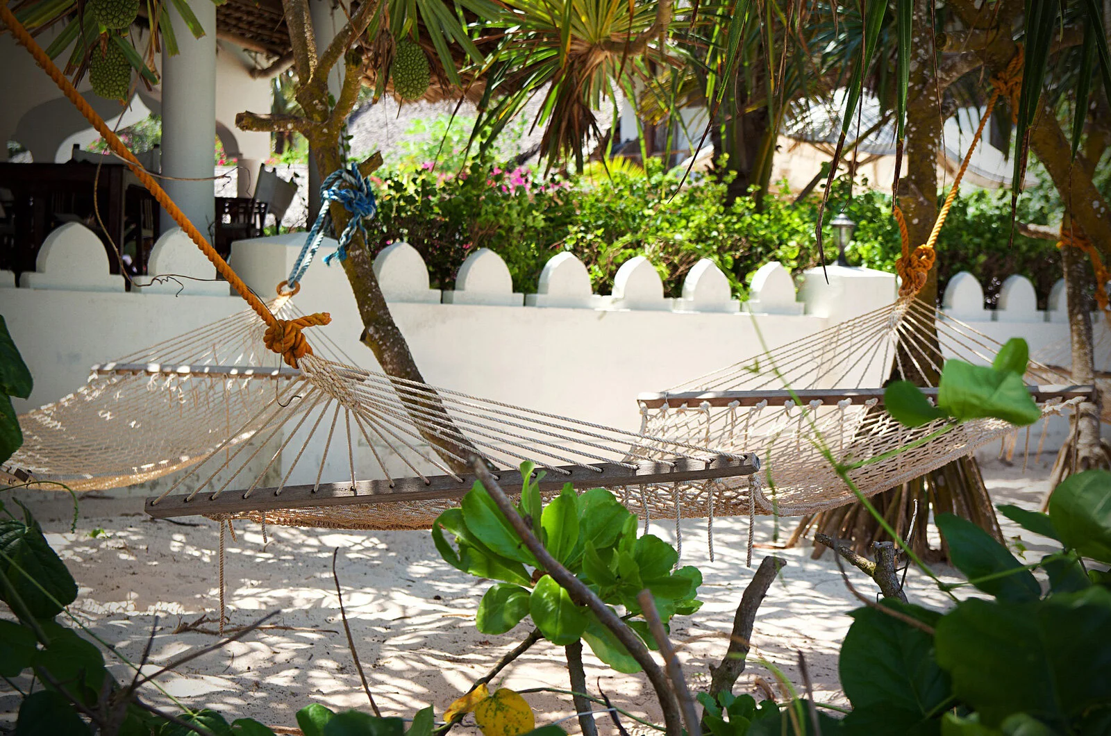 sshp-zanzibar-slideshow5.png
