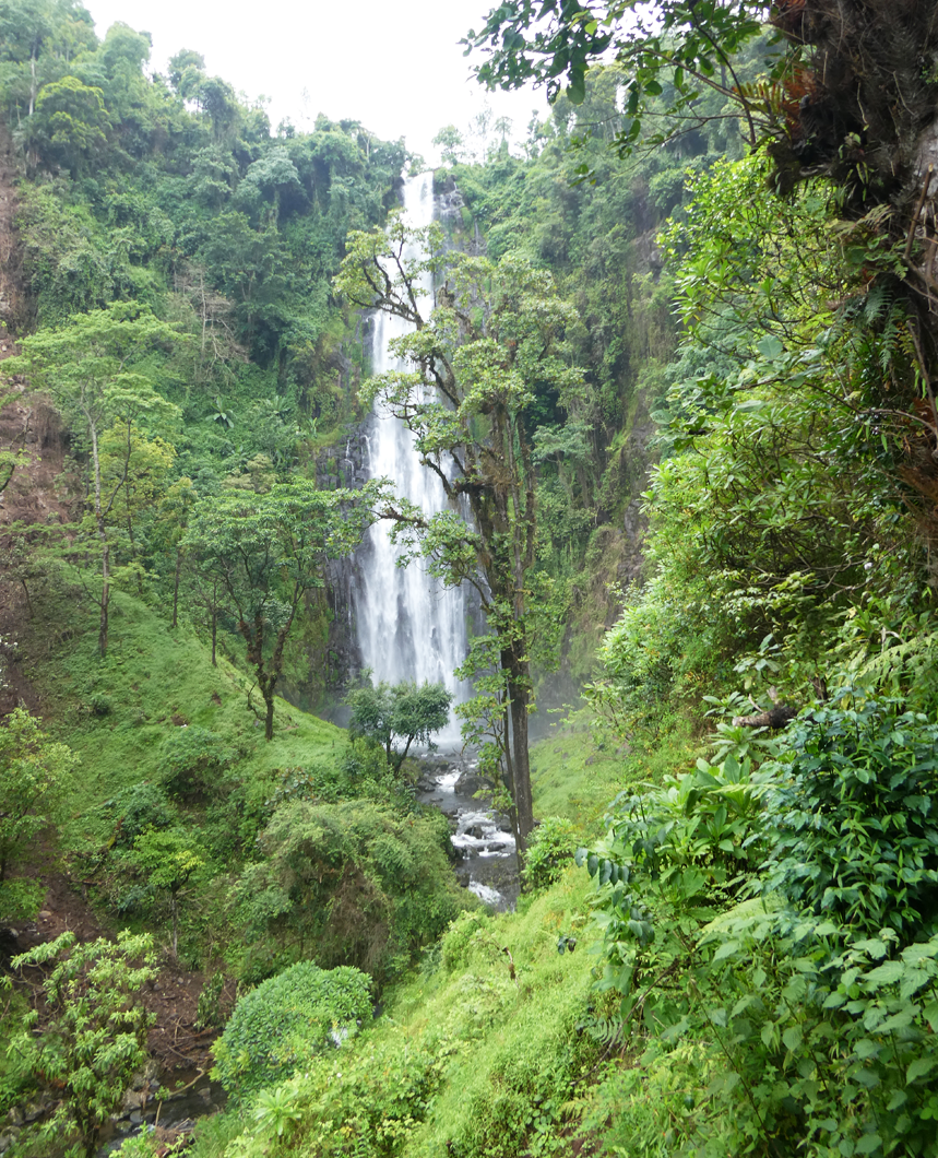 sshp-tanzania-slideshow2.png