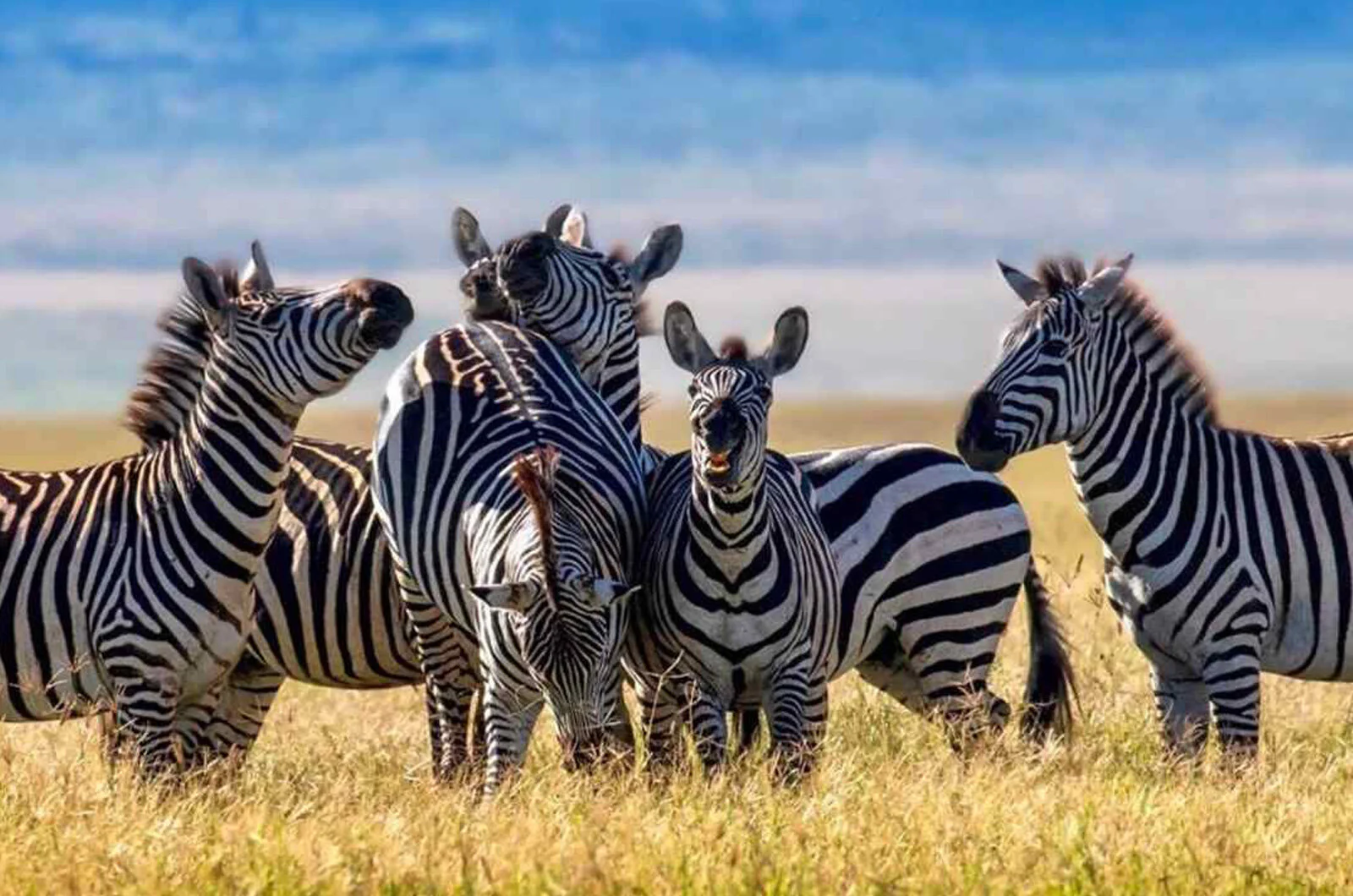 tanzania-img4.jpg