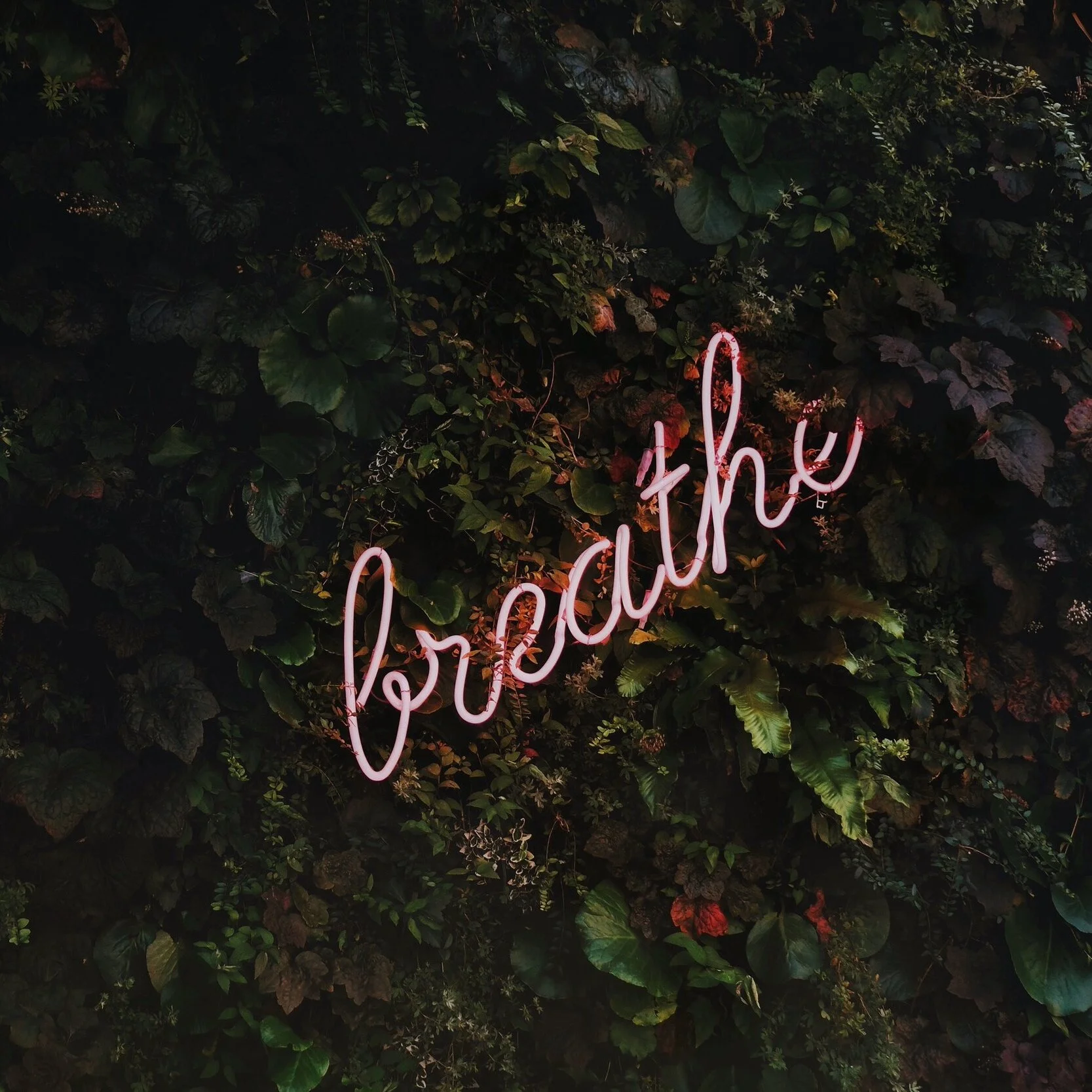 #5 For Taking a Mental Health Day