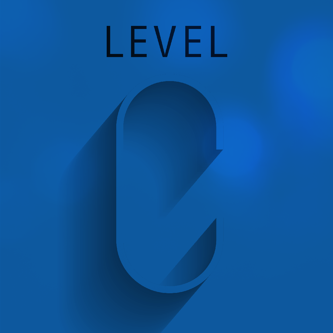 What a Level C Brand Strategist Actually Does