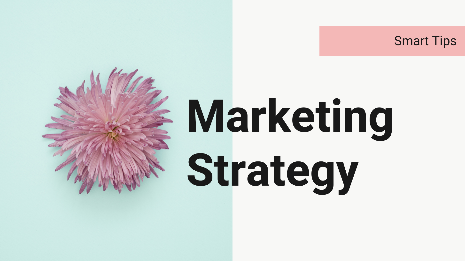 4 reasons why every business should be running a CONSISTENT marketing campaign: