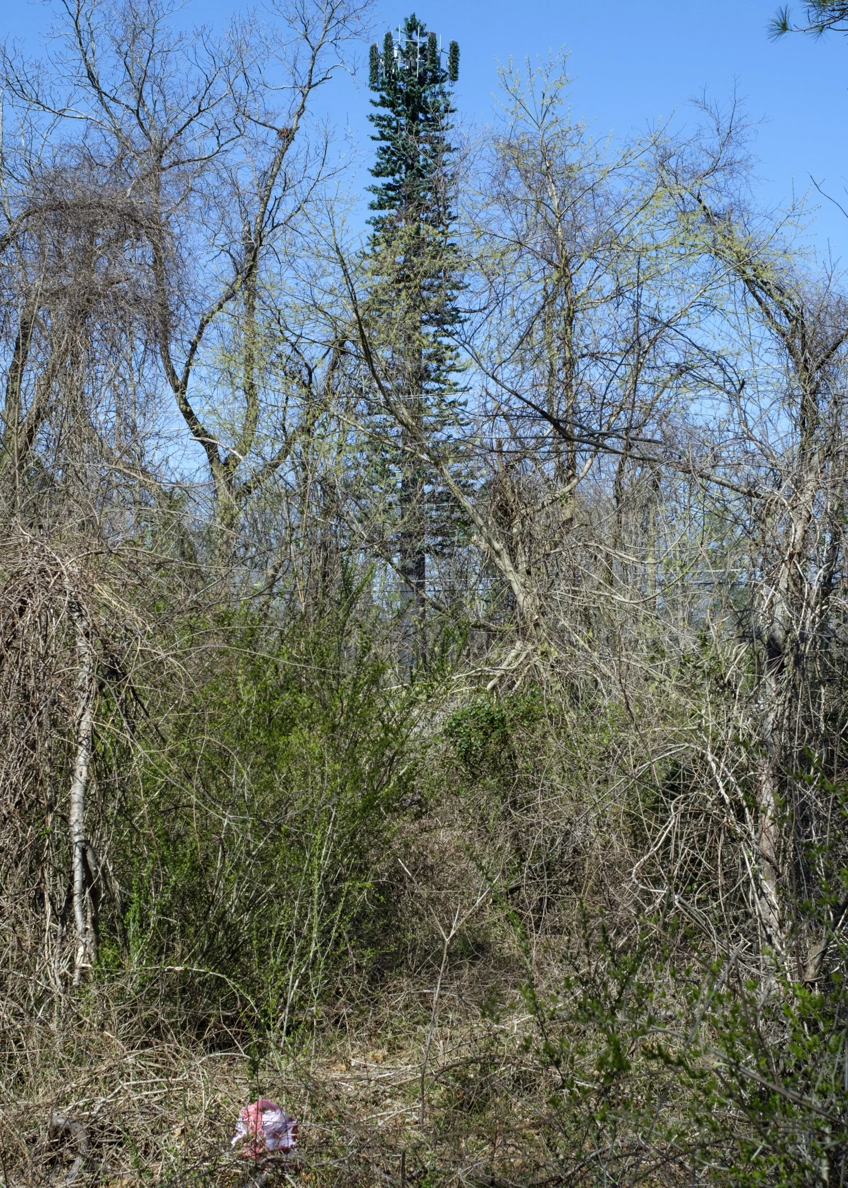 1__DSF0059.jpg