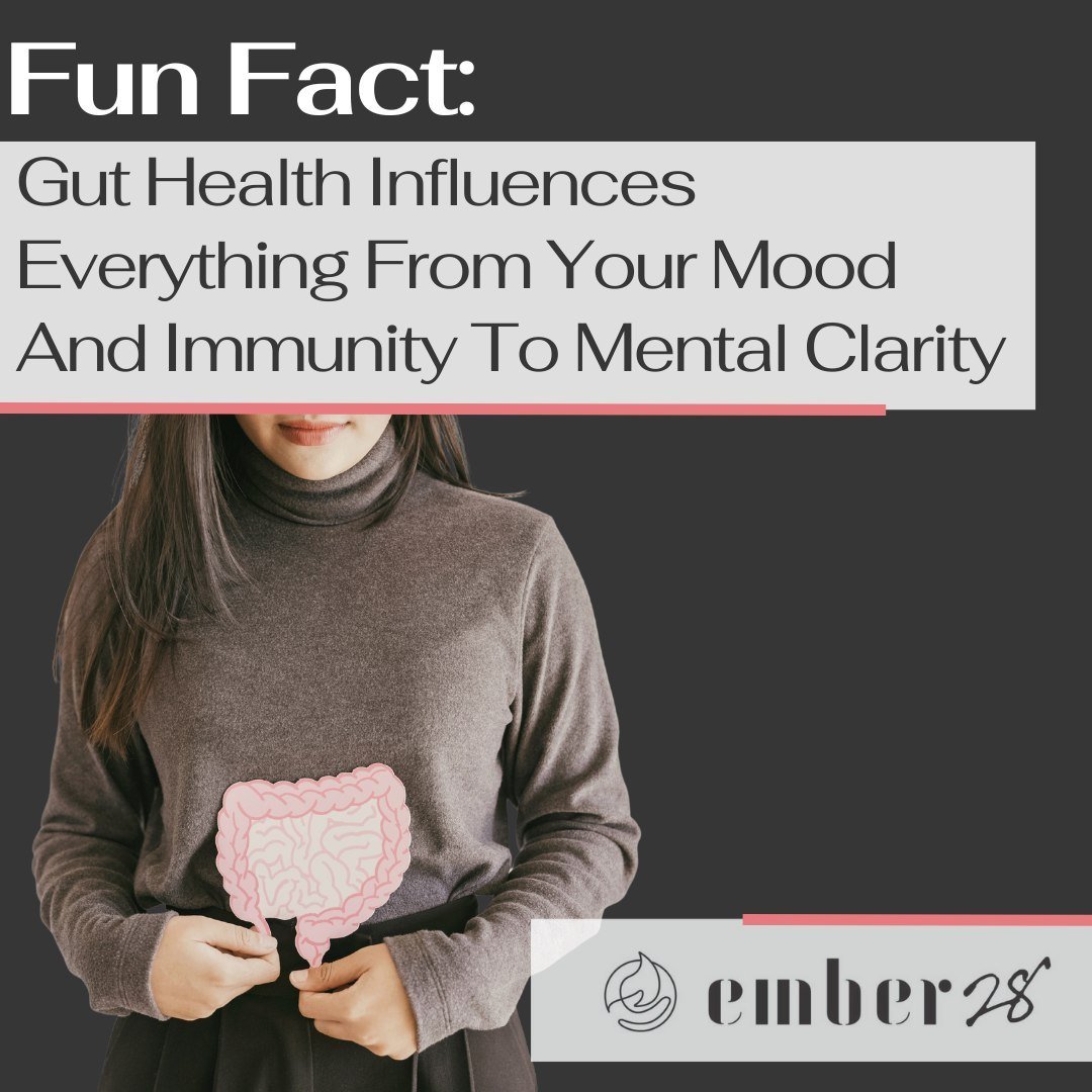 Discover the powerful connection between your gut and overall health. At Ember28, we shine a light on how gut health influences everything from your mood and immunity to mental clarity. It&rsquo;s time to nurture your gut, the unsung hero of your wel