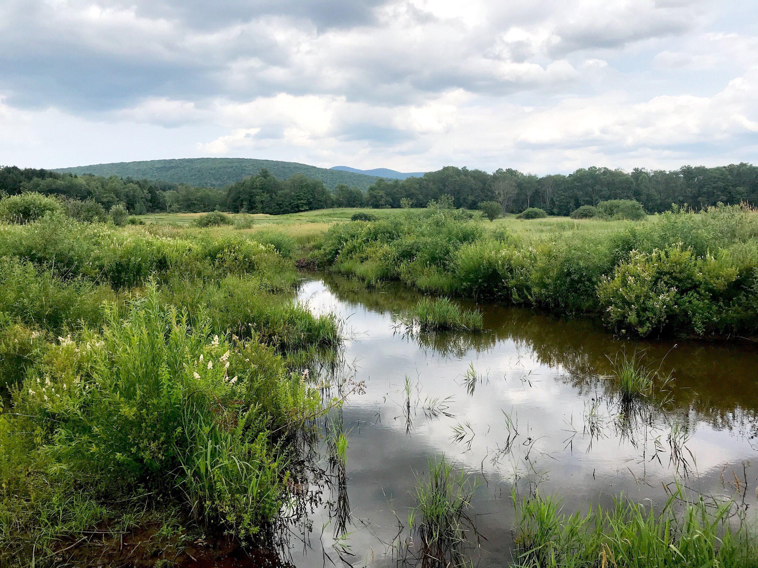 local landscape with waterway