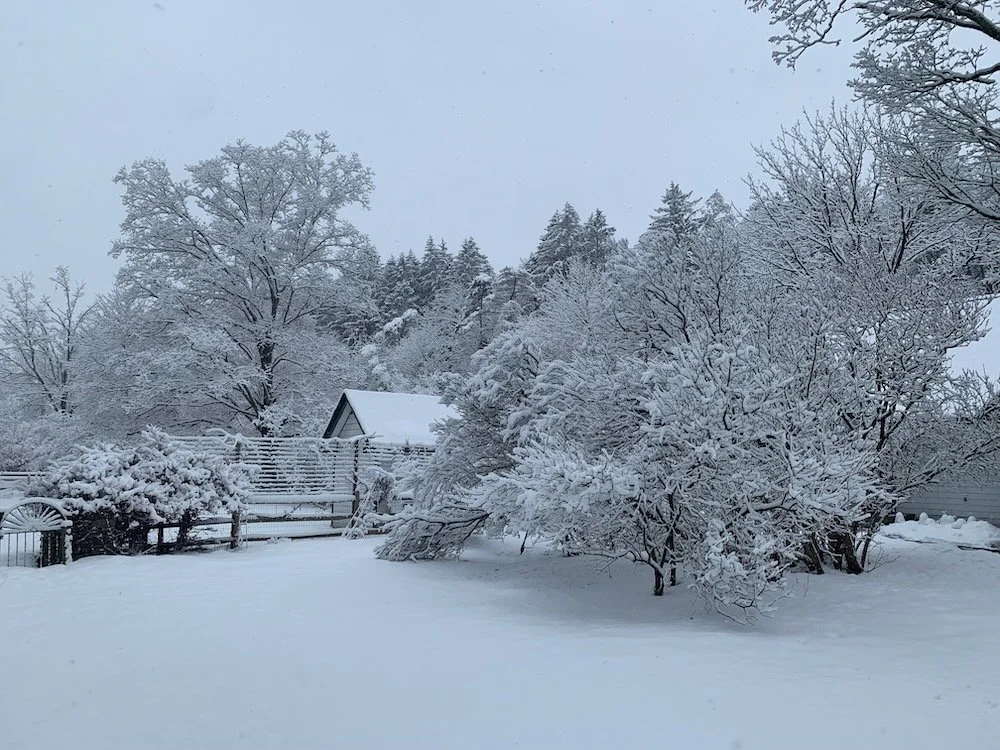 How’s It Growing: May 22, 2025