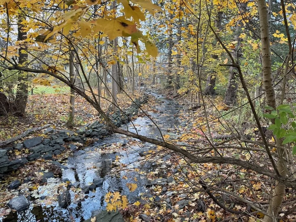 How's It Growing: November 26, 2025