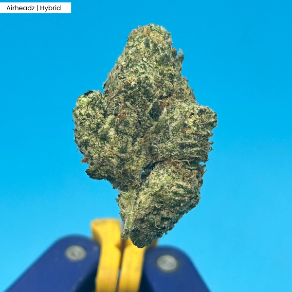Airheadz _ Product.png
