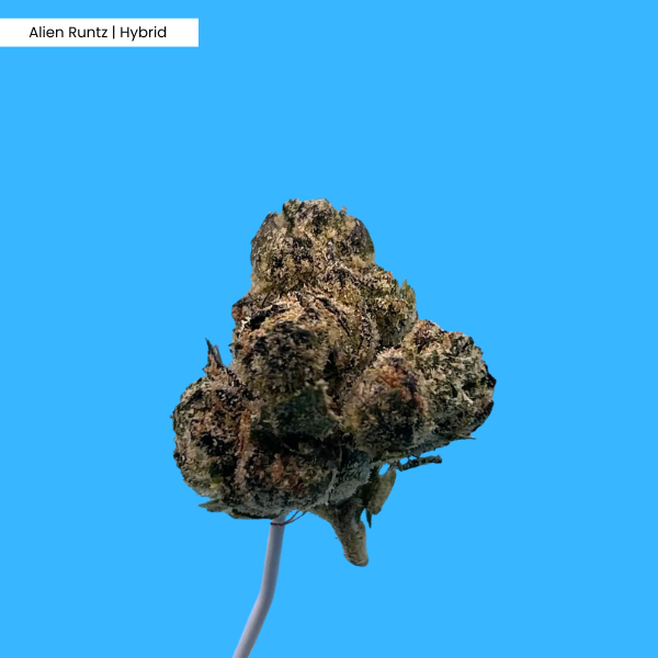 Alien Runtz Product Image (1).png
