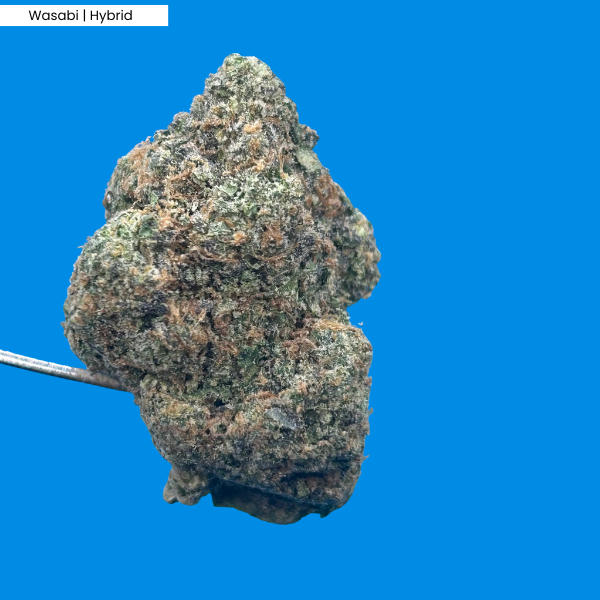 Wasabi _ Product.png