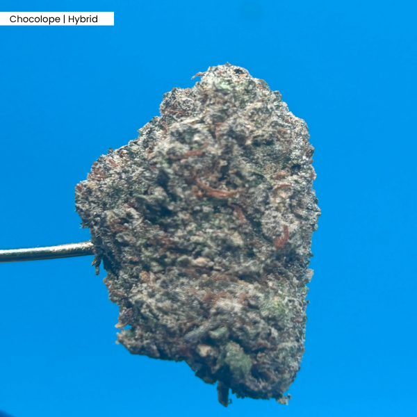 Chocolope _ Product.png