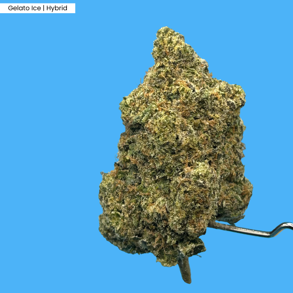 Gelato Ice _ Product.png