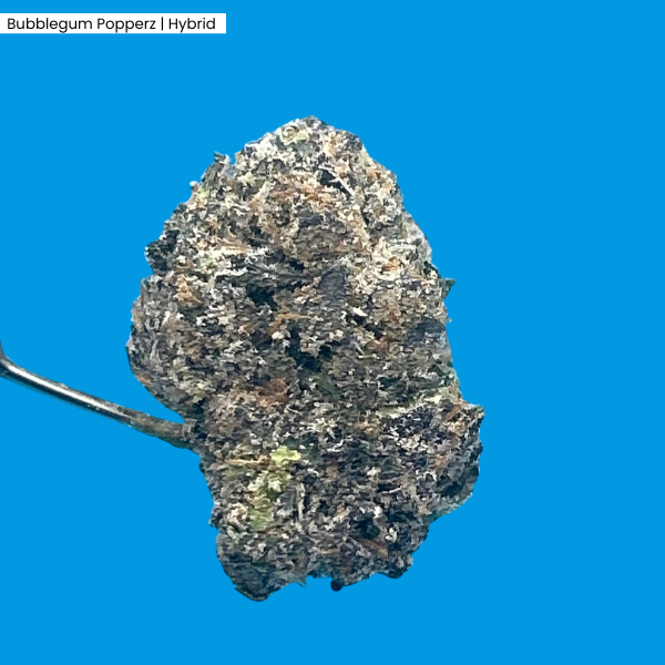 Bubblegum Popperz  _ Hybrid.png