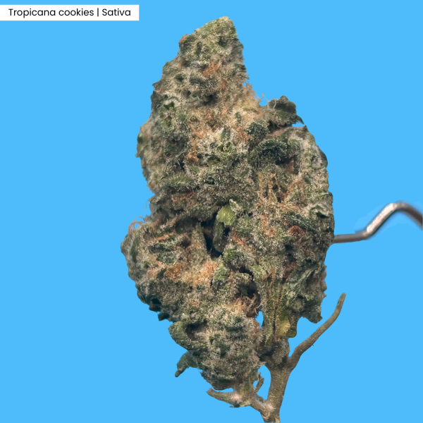 Tropicana cookies _ Product.png