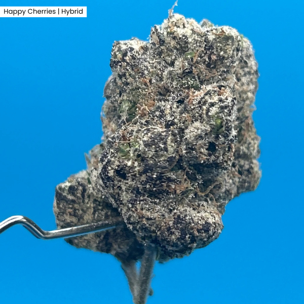 Happy Cherries_ Product 1.png