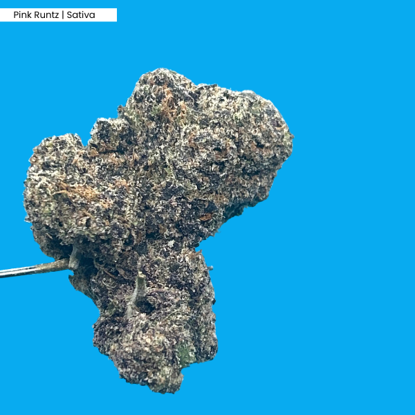 Pink Runtz _ Product.png