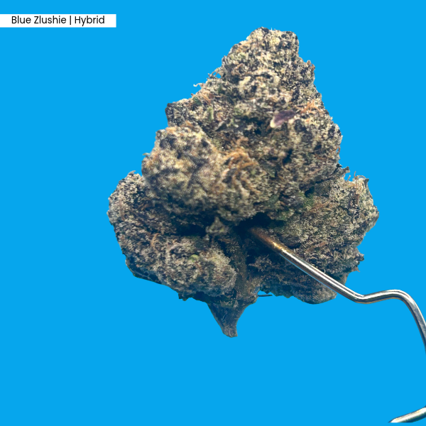 Blue Zlushie _ Product 1.png