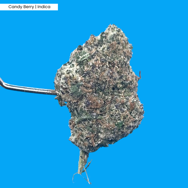 Candy Berry _ Product.png