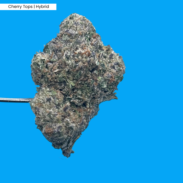 Cherry Tops _ Product.png