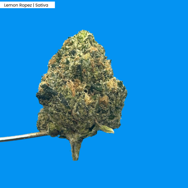 Lemon Ropez _ Product.png