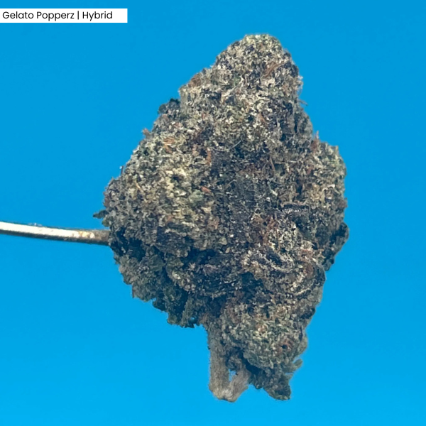 Gelato Popperz _ Product.png
