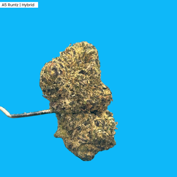 A5 Runtz _ Products2.png