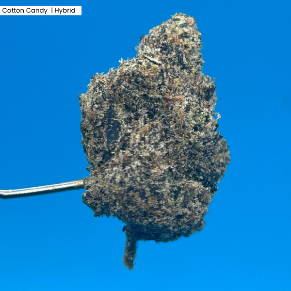 Cotton Candy _ Product (2).png