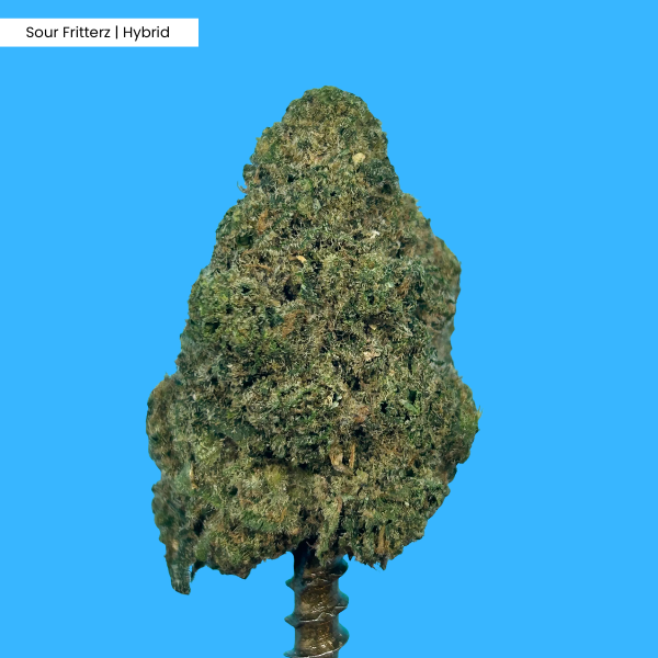 Sour Fritterz _ Product Cover.png