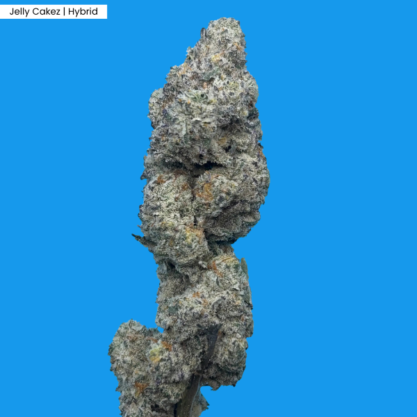 Jelly Cakez _ Product.png