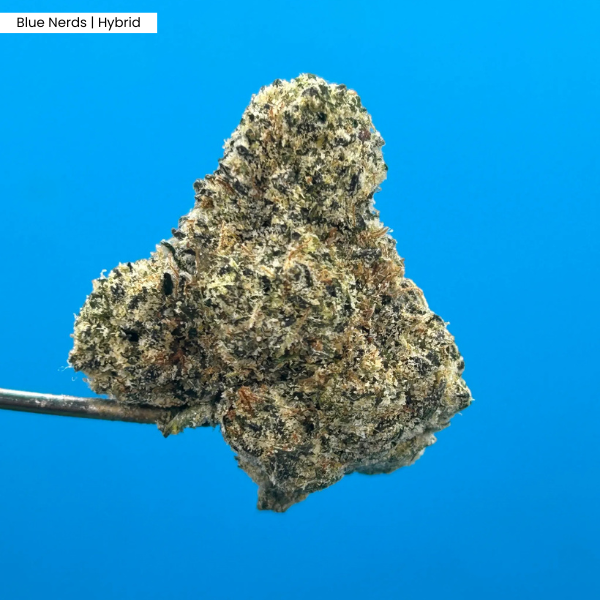 Blue Nerds  Product.png