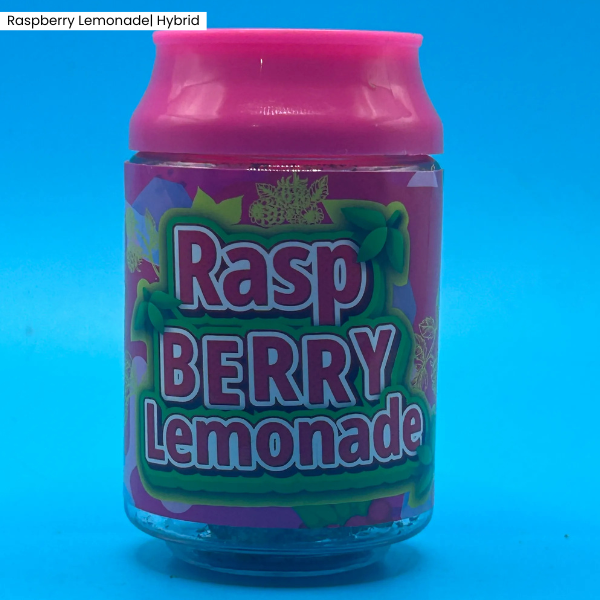 Raspberry Lemonade _ Product.png