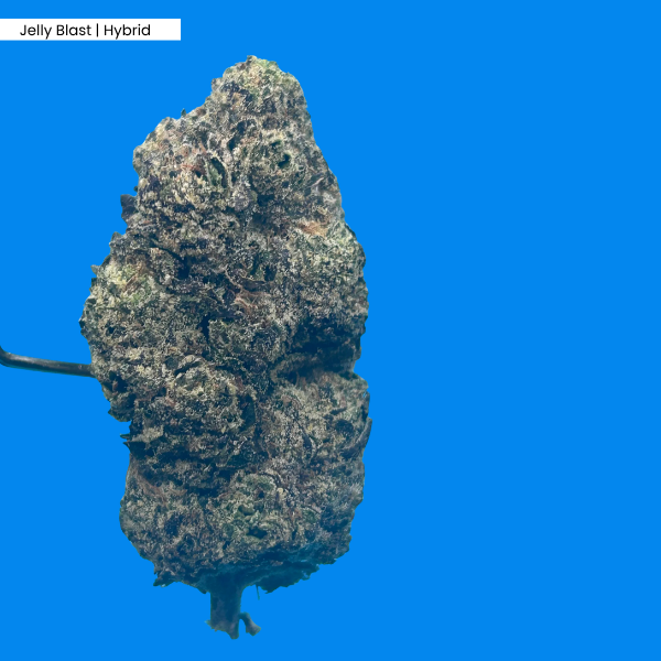 Jelly Blast _ Product 1.png