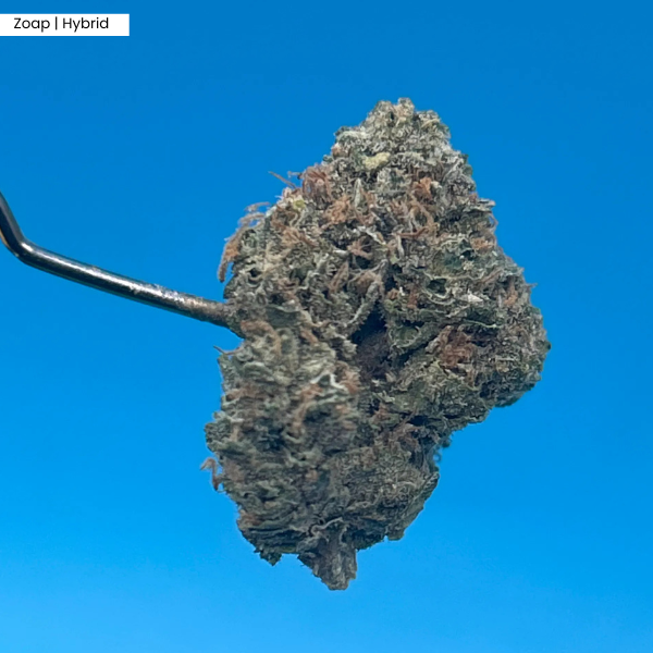 Zoap _ Product.png