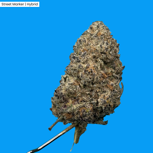 Street Marker _ Product.png