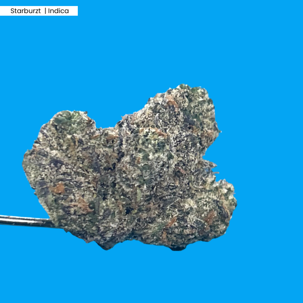 Starburzt  Product (1).png