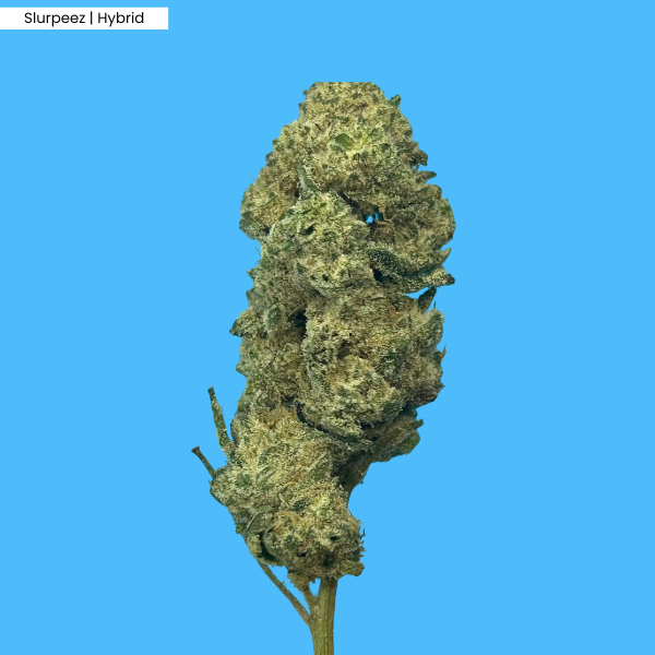 Slurpeez _ Product.png