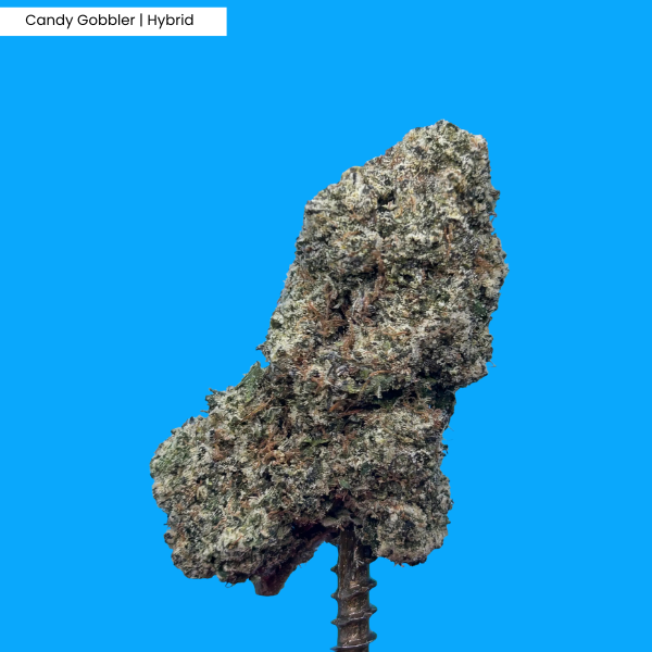 Candy Gobbler _ Product.png
