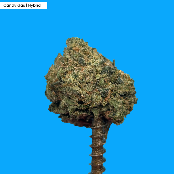 Candy Gas _ Product.png