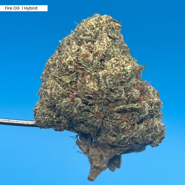 Fire OG _ Product.png
