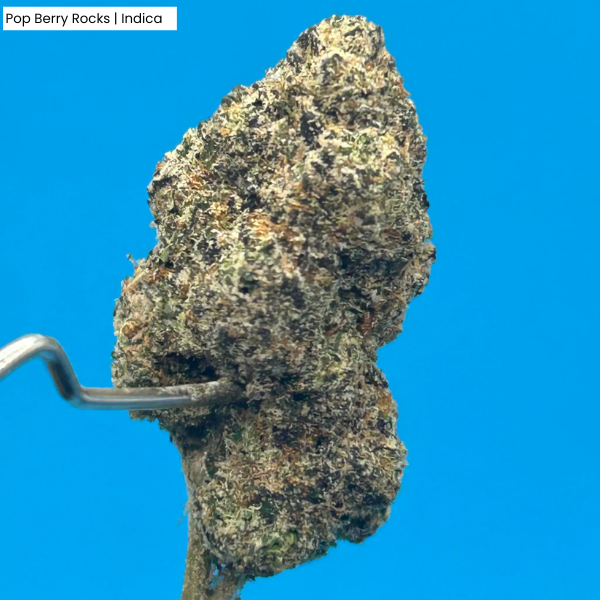 Pop Berry Rocks  Product .png