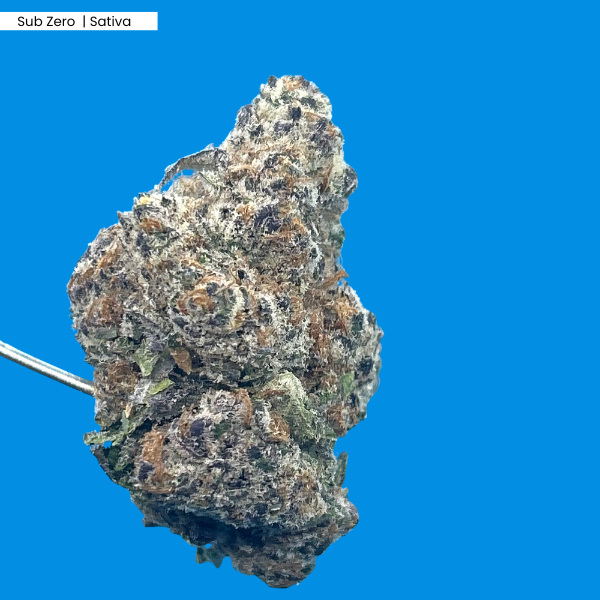 Sub Zero _ Product.png