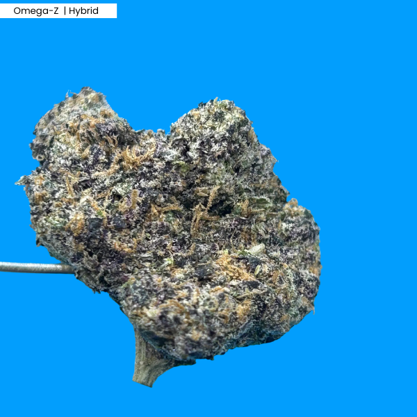 Omega-Z _ Product.png