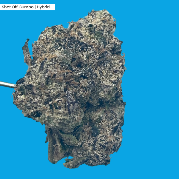 Shot Off Gumbo _ Product (2).png