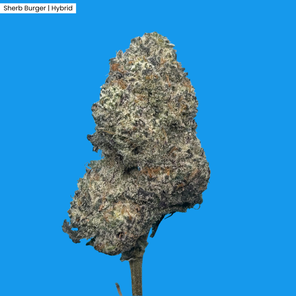 Sherb Burger _ Product.png