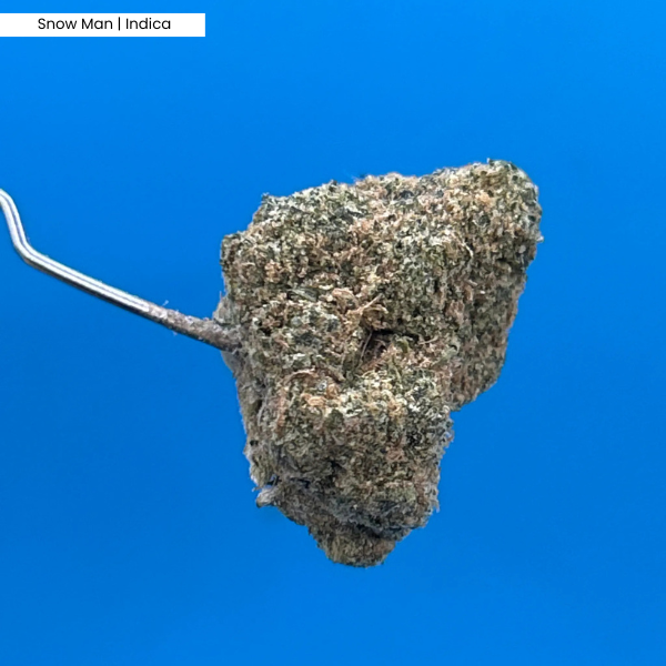 Snow Man _ Product.png